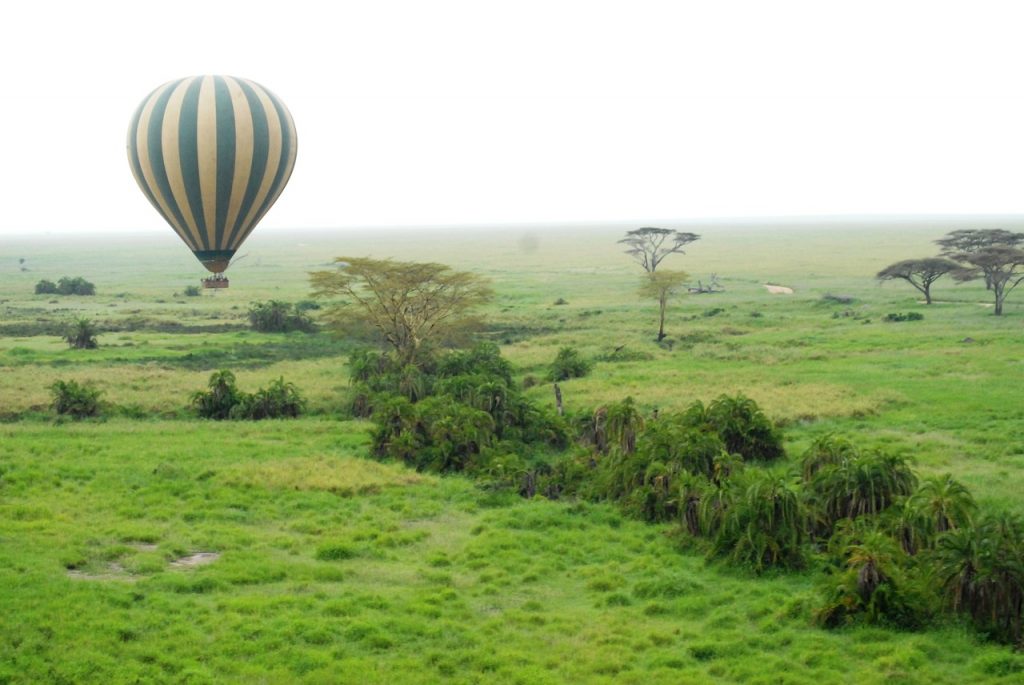 Visiting the Tanzania Travel Exhibition